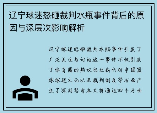 辽宁球迷怒砸裁判水瓶事件背后的原因与深层次影响解析