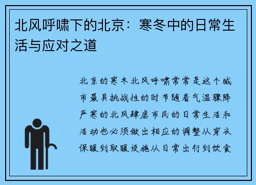 北风呼啸下的北京：寒冬中的日常生活与应对之道