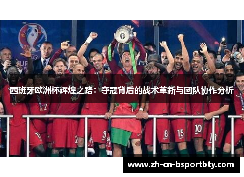 西班牙欧洲杯辉煌之路：夺冠背后的战术革新与团队协作分析